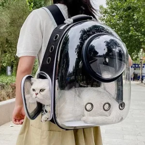 Sac de transport pour animaux de compagnie, chat, sac à dos spatial, transparent et respirant